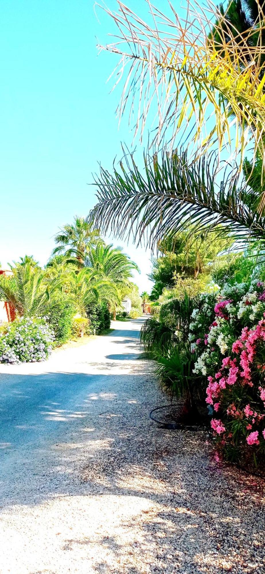 Happymobilhome Argeles-Sur-Mer -Plage A 500M- Camping 4 Etoiles Del Mar Zewnętrze zdjęcie